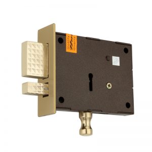 DL-1009